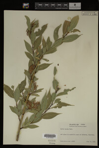Image Associated With the Occurrence