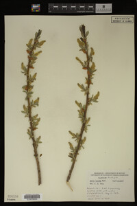 Image Associated With the Occurrence