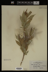 Image Associated With the Occurrence
