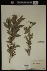 Image Associated With the Occurrence