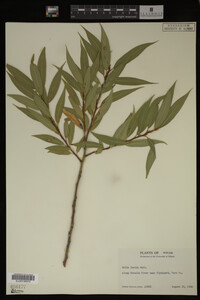 Image Associated With the Occurrence