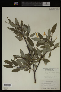 Image Associated With the Occurrence