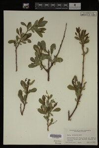 Image Associated With the Occurrence