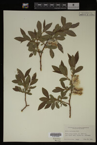 Image Associated With the Occurrence