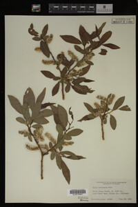 Image Associated With the Occurrence