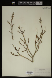 Image Associated With the Occurrence