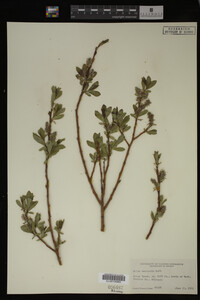 Image Associated With the Occurrence