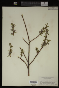 Image Associated With the Occurrence