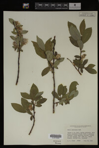 Image Associated With the Occurrence