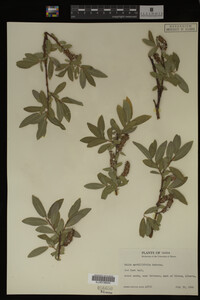 Image Associated With the Occurrence