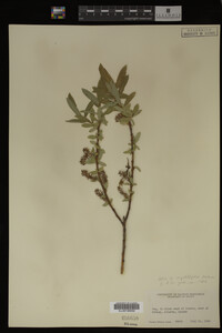 Image Associated With the Occurrence