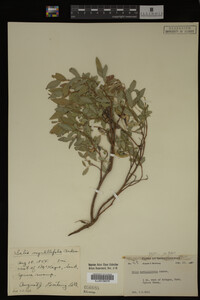 Image Associated With the Occurrence