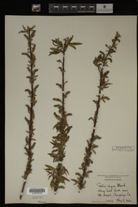 Image Associated With the Occurrence