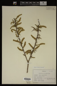 Image Associated With the Occurrence
