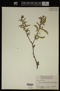Image Associated With the Occurrence