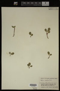 Image Associated With the Occurrence
