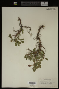Image Associated With the Occurrence