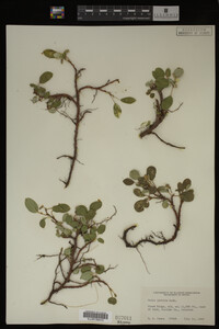 Image Associated With the Occurrence