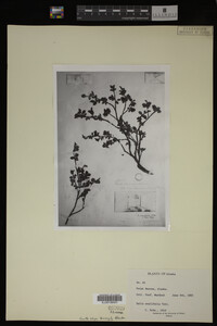 Image Associated With the Occurrence