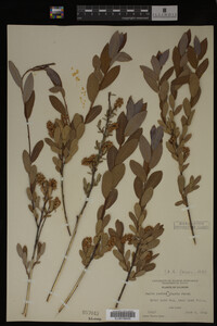 Image Associated With the Occurrence