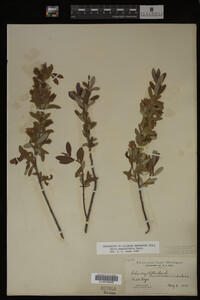 Image Associated With the Occurrence