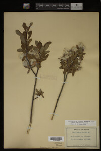 Image Associated With the Occurrence