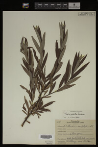 Image Associated With the Occurrence