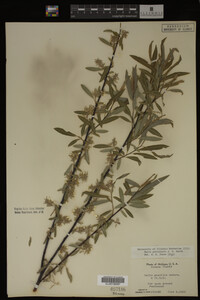Image Associated With the Occurrence