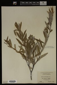 Image Associated With the Occurrence