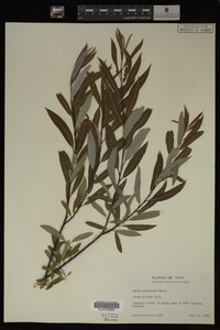 Image Associated With the Occurrence