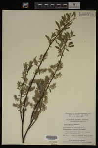 Image Associated With the Occurrence