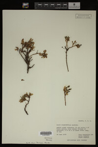 Image Associated With the Occurrence