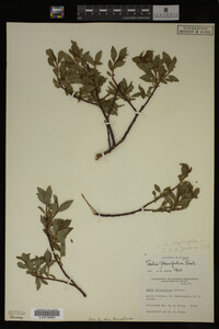 Image Associated With the Occurrence