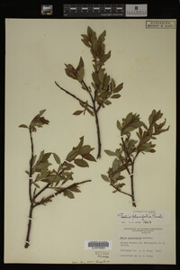 Image Associated With the Occurrence