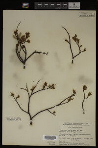 Image Associated With the Occurrence