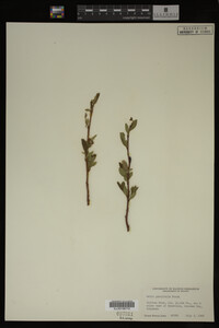 Image Associated With the Occurrence