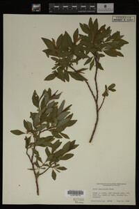 Image Associated With the Occurrence