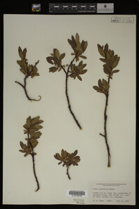 Image Associated With the Occurrence