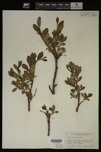 Image Associated With the Occurrence