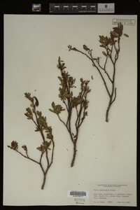 Image Associated With the Occurrence