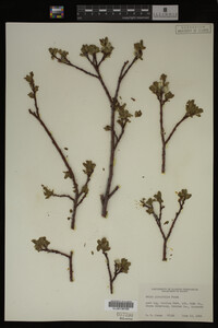 Image Associated With the Occurrence