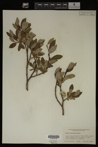 Image Associated With the Occurrence