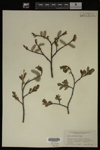 Image Associated With the Occurrence