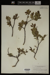 Image Associated With the Occurrence