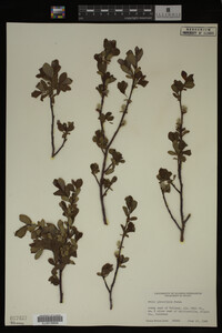 Image Associated With the Occurrence