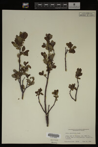 Image Associated With the Occurrence