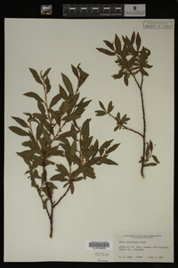 Image Associated With the Occurrence
