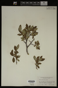 Image Associated With the Occurrence