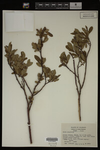Image Associated With the Occurrence