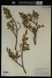 Image Associated With the Occurrence